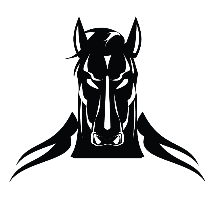 Angry Horse Brand America logo
